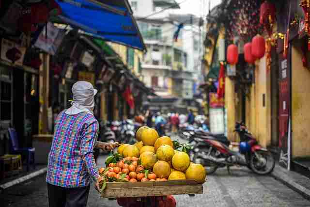 惊人操作：蘑菇视频直播突发掉线，官方紧急处理